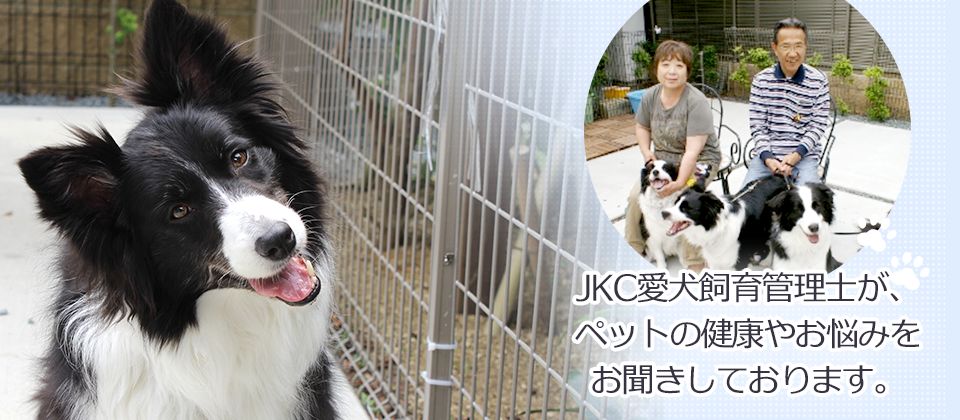 JKC愛犬飼育管理士が、ペットの健康やお悩みをお聞きしております。